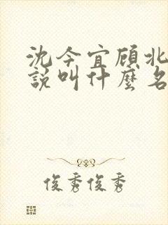 沈今宜顾北玄小说叫什么名字