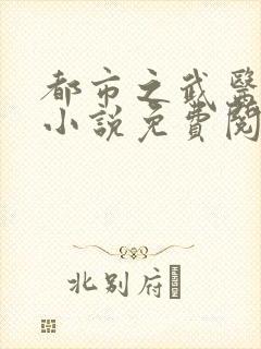 都市之武医风流小说免费阅读