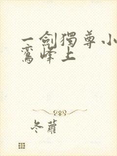 一剑独尊小说青鸾峰上