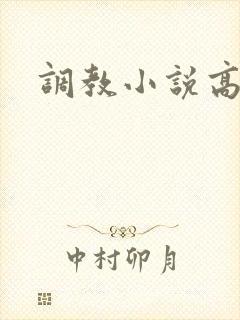 调教小说高h文封面