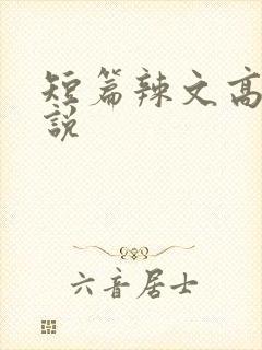 短篇辣文高h小说