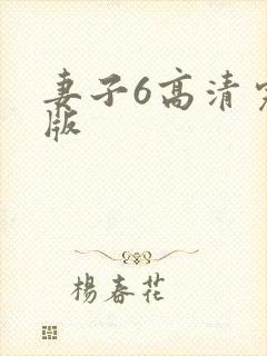 妻子6高清完整版