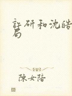 许研和沈皓明结局