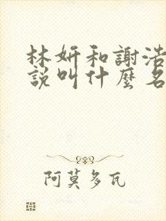 林妍和谢浩然小说叫什么名字
