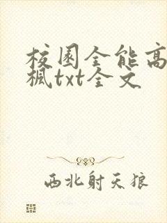 校园全能高手季枫txt全文