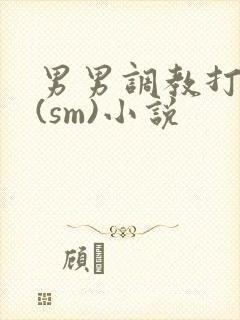 男男调教打屁股(sm)小说封面