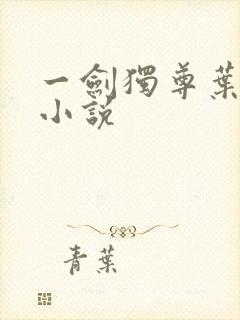 一剑独尊叶玄 小说