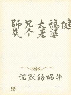 师兄太稳健主角几个老婆封面