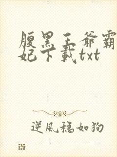 腹黑王爷霸道王妃下载txt封面