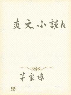 爽文小说h