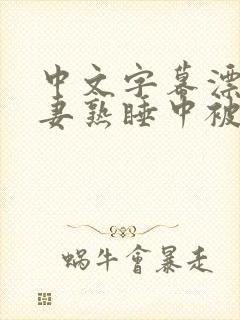 中文字幕漂亮人妻熟睡中被公侵犯的
