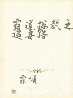 霸道总裁之漫漫追妻路