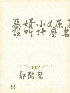 恶婿小d原著小说叫什么名字封面