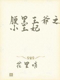 腹黑王爷之穿越小王妃