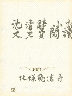 沈清辞 小说全文免费阅读