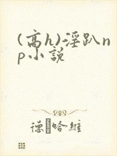 (高h)淫趴np小说封面