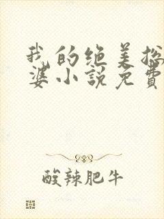 我的绝美总裁老婆小说免费阅读完整版封面
