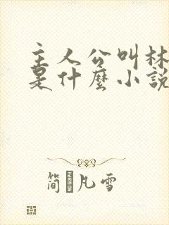 主人公叫林峰的是什么小说封面