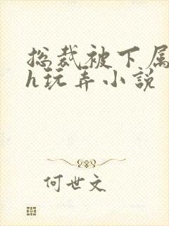 总裁被下属调教h玩弄小说