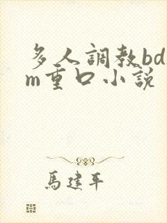 多人调教bdsm重口小说
