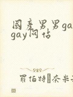 国产男男gaygay网站