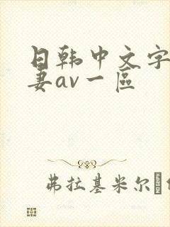 日韩中文字幕人妻av一区