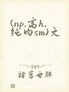 (np,高h,纯肉sm)文