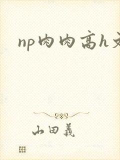 np肉肉高h文封面
