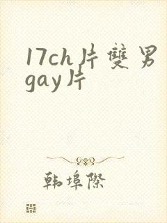 17ch片双男gay片封面