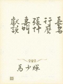 献妻张行长的小说叫什么名字