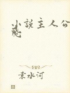 小说主人公叫杨飞
