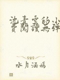 沈青云的小说免费阅读无弹窗全文最新章节封面