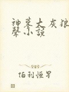 神墓大灰狼版有声小说封面