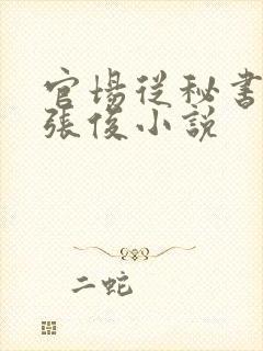 官场从秘书开始张俊小说