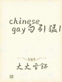 chinese gay勾引猛1video
