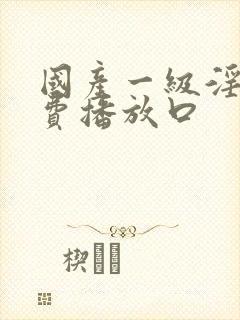 国产一级淫片免费播放口