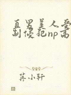 直男美人受被强制侵犯np高h
