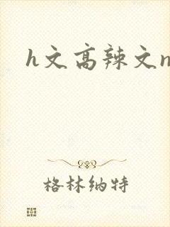 h文高辣文np封面