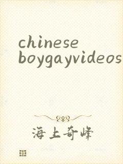 chineseboygayvideos