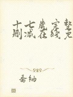 十七岁完整版未删减在线免费观看封面