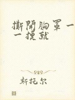 撕开胸罩一边亲一摸就