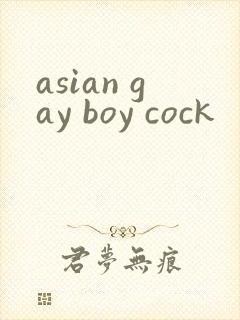 asian gay boy cock