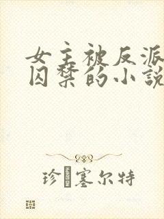 女主被反派强迫囚禁的小说