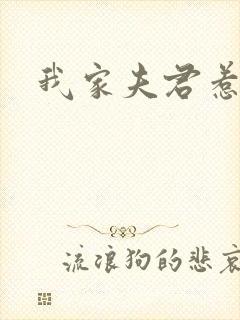 我家夫君惹不起