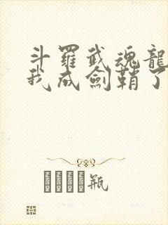 斗罗武魂龙渊剑我成剑鞘了笔趣阁封面
