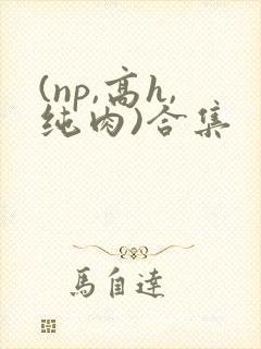 (np,高h,纯肉)合集