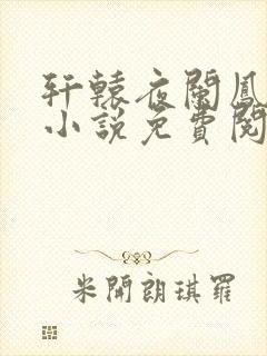 轩辕夜阑凤云倾小说免费阅读笔趣阁