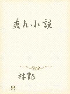 爽h小说