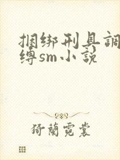 捆绑刑具调教束缚sm小说