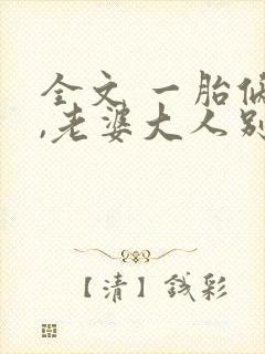 全文 一胎俩宝,老婆大人别想逃